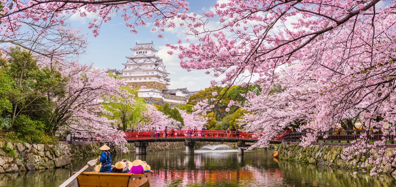 Destination & Experience Curation